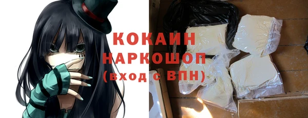 шишки Аркадак