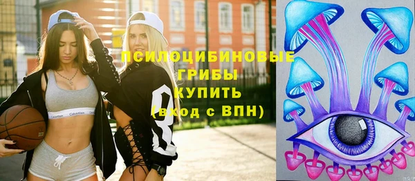 Альфа ПВП Алексин