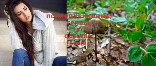 Альфа ПВП Алексин